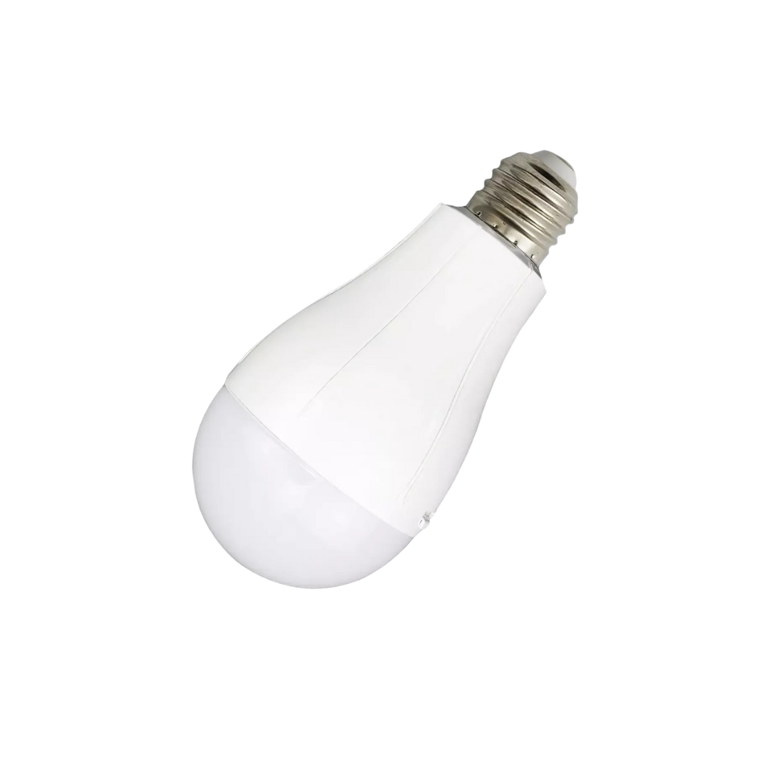 FOCO LED BOLA  RECARGABLE/20W